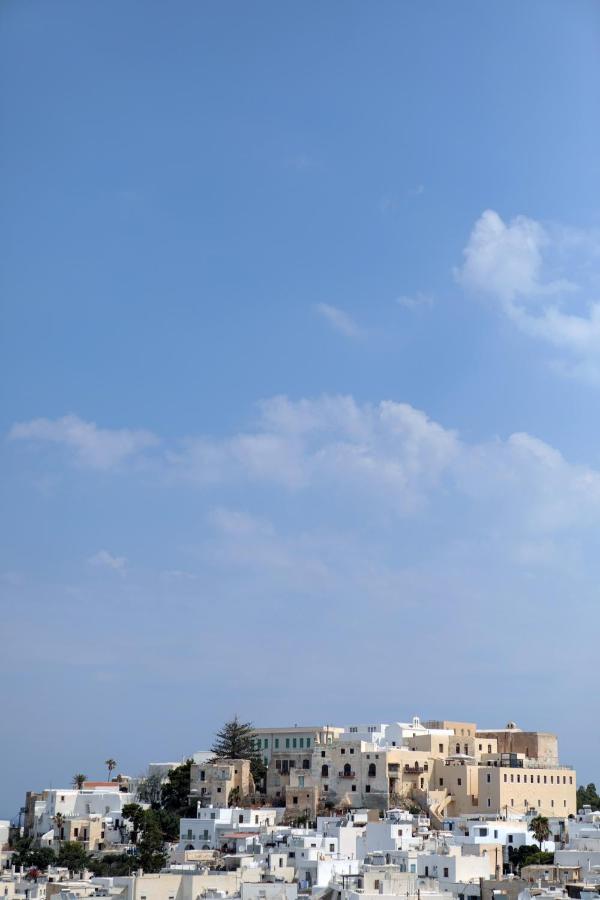 Alma Libre Villas Chora Naxos City Extérieur photo